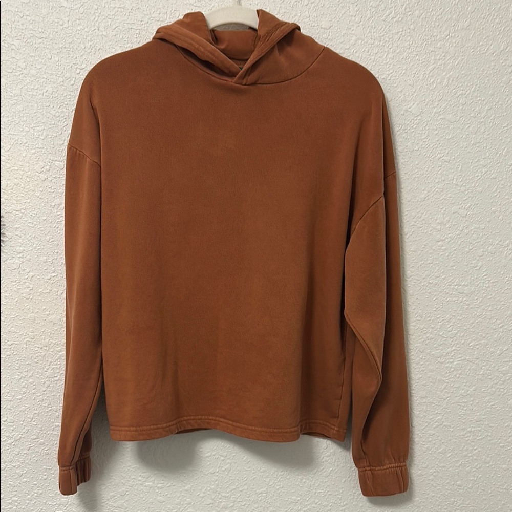 Men's Rust Hoodie Sweater